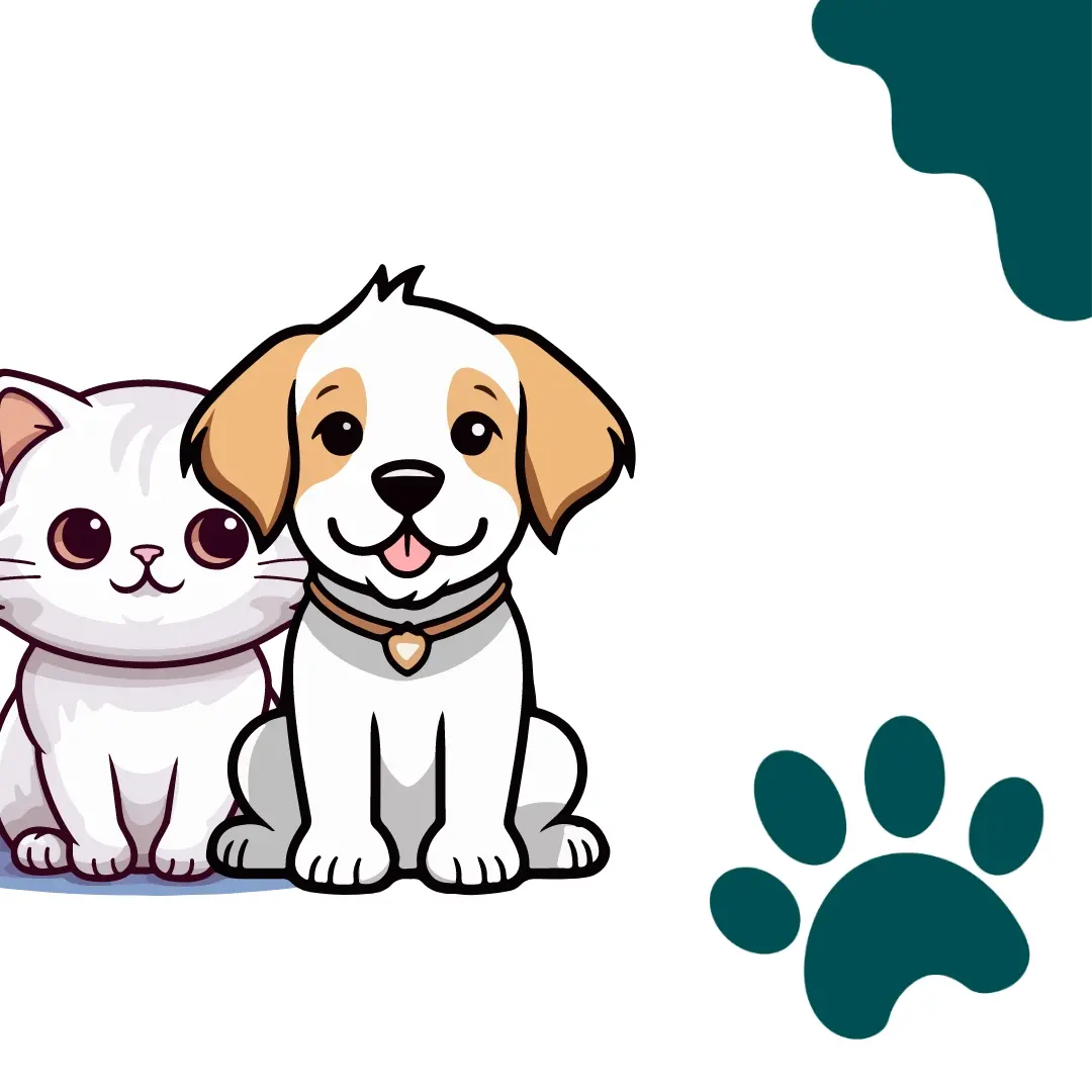 Zefa Pet Care